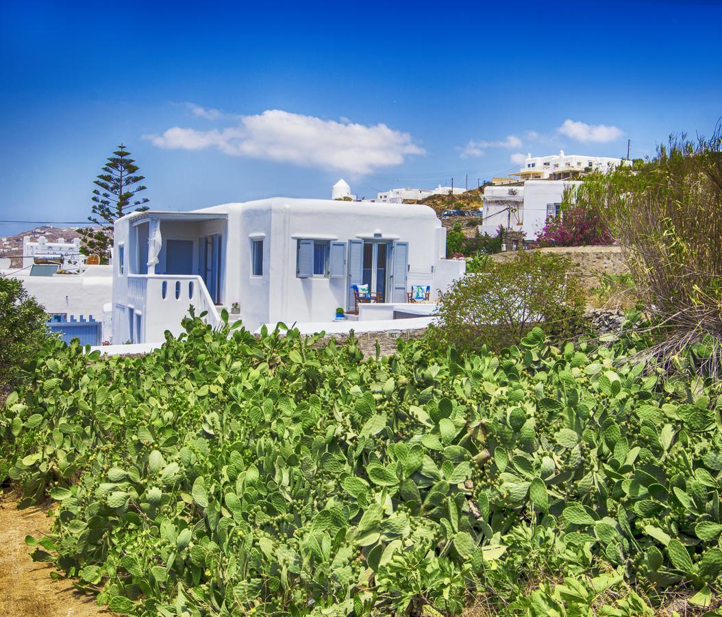 Sole Mare Villa Mykonos Town エクステリア 写真