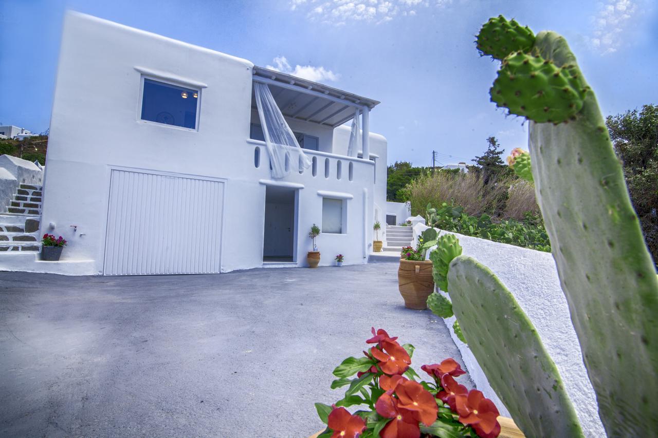 Sole Mare Villa Mykonos Town エクステリア 写真